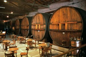 En la provincia de Mendoza (Argentina) hay…