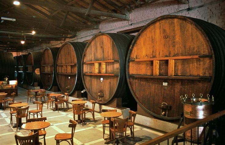 Ruta histórica del vino en Mendoza